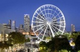 Brisbane City Tour